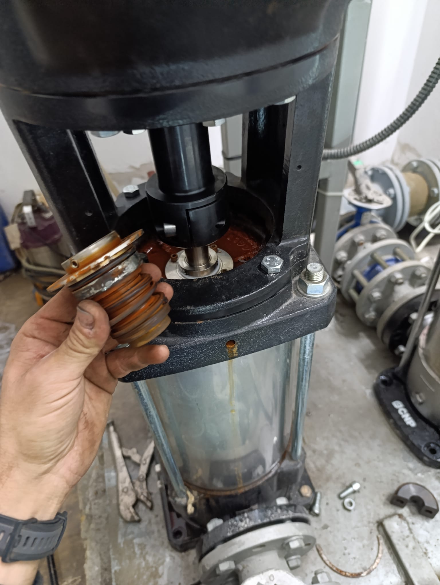 תמונת פרויקט 8